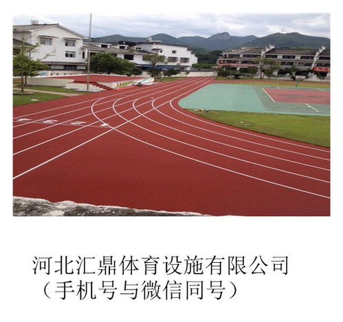新型環(huán)保塑膠跑道材料 預制型卷材的革新與應用