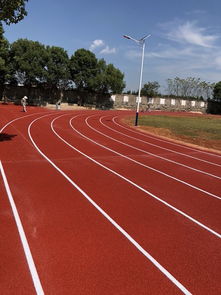 塑膠場地預制型跑道卷材 廠家報價與鞋透氣性能解析