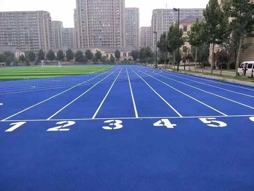 聊城高唐 預制型塑膠球場與跑道卷材的專業制造與應用